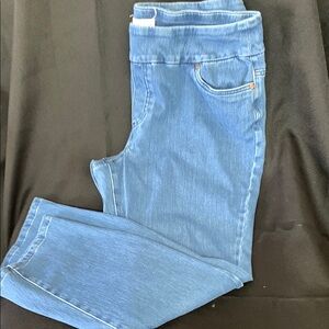 Coldwater Creek Blue Skinny Jeans Timeless Fit